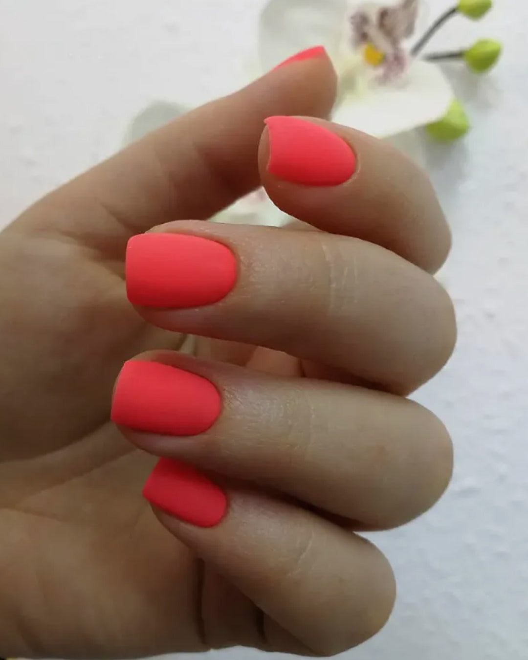 EGO 26 Tropical Rose